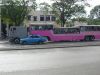 Filename=031125_012_Camel_Bus.jpg
Filesize=176KiB
Dimensions=800x600
Date added=Nov 21, 2011 031125_012_Camel_Bus.jpg