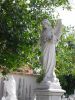 Filename=031125_033_Necropolis_Statue.jpg
Filesize=195KiB
Dimensions=600x800
Date added=Nov 21, 2011 031125_033_Necropolis_Statue.jpg