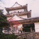 odawarajou-approach.jpg