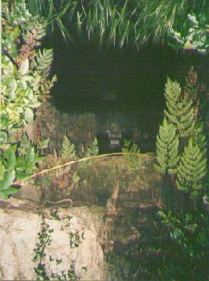 sugimotodera-cave.jpg