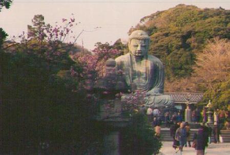 daibutsu-tree-spring.jpg