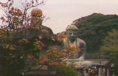 daibutsu-tree.jpg