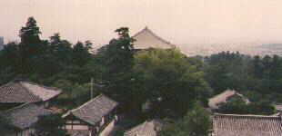 daibutsuden-view.jpg