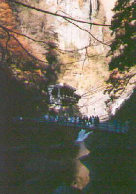 falls-viewing-platform.jpg