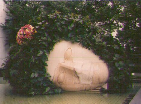 hakone-hydrangea-head.jpg