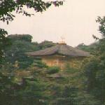kinkakuji-forest.jpg
