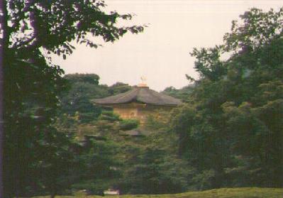 kinkakuji-forest.jpg