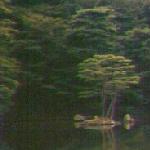 kinkakuji-pond.jpg