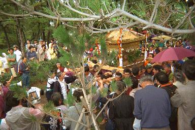 hayama-mikoshi.jpg