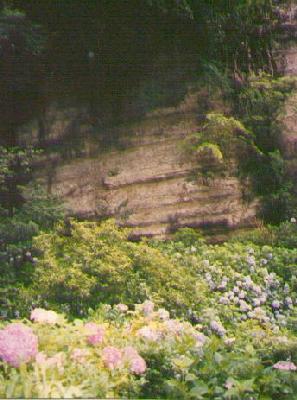 meigetsuin-cliff.jpg