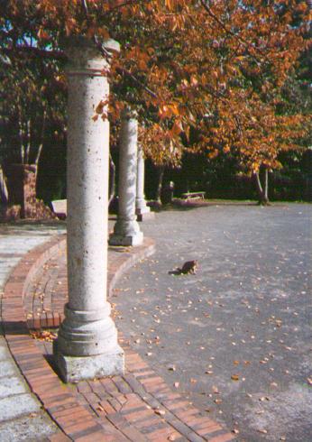 motomati-park&cat.jpg