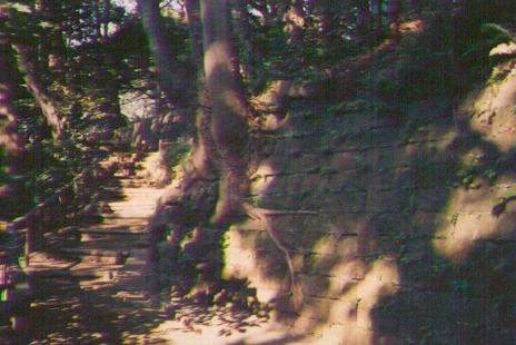 motomati-wall.jpg