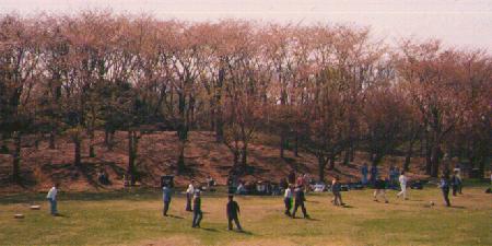 negishi-hill.jpg