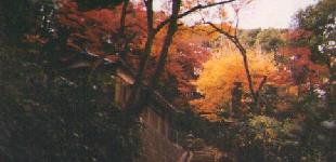ofuna-shrine.jpg