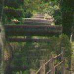 philosopher's-path-bridges.jpg