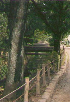 philosopher's-path-bridges.jpg