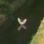 philosopher's-path-crane.jpg