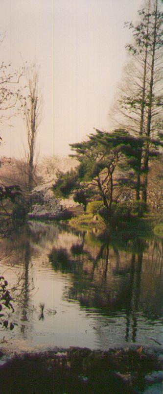 shinjukugyoen3.jpg