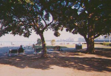 yamashita-park.jpg